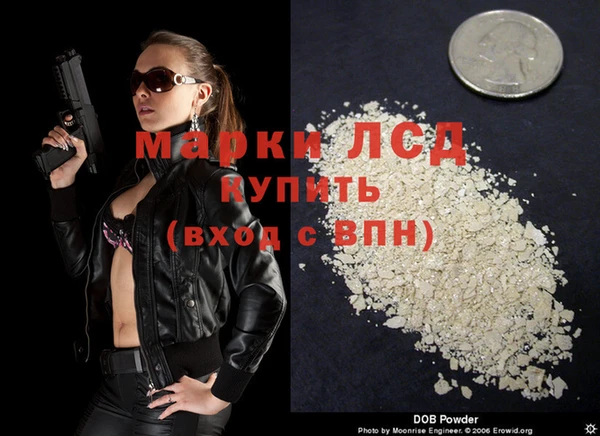мяу мяу мука Шарыпово