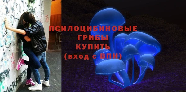 марки lsd Чердынь