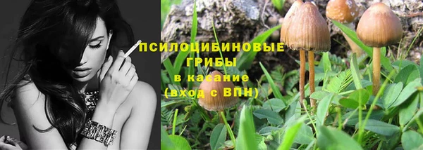 кристаллы Ленск