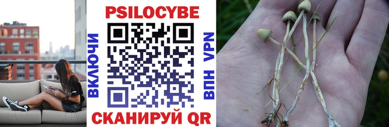 Псилоцибиновые грибы Psilocybine cubensis  блэк спрут ONION  Зея 